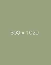 hongo 800×1020-b-ph